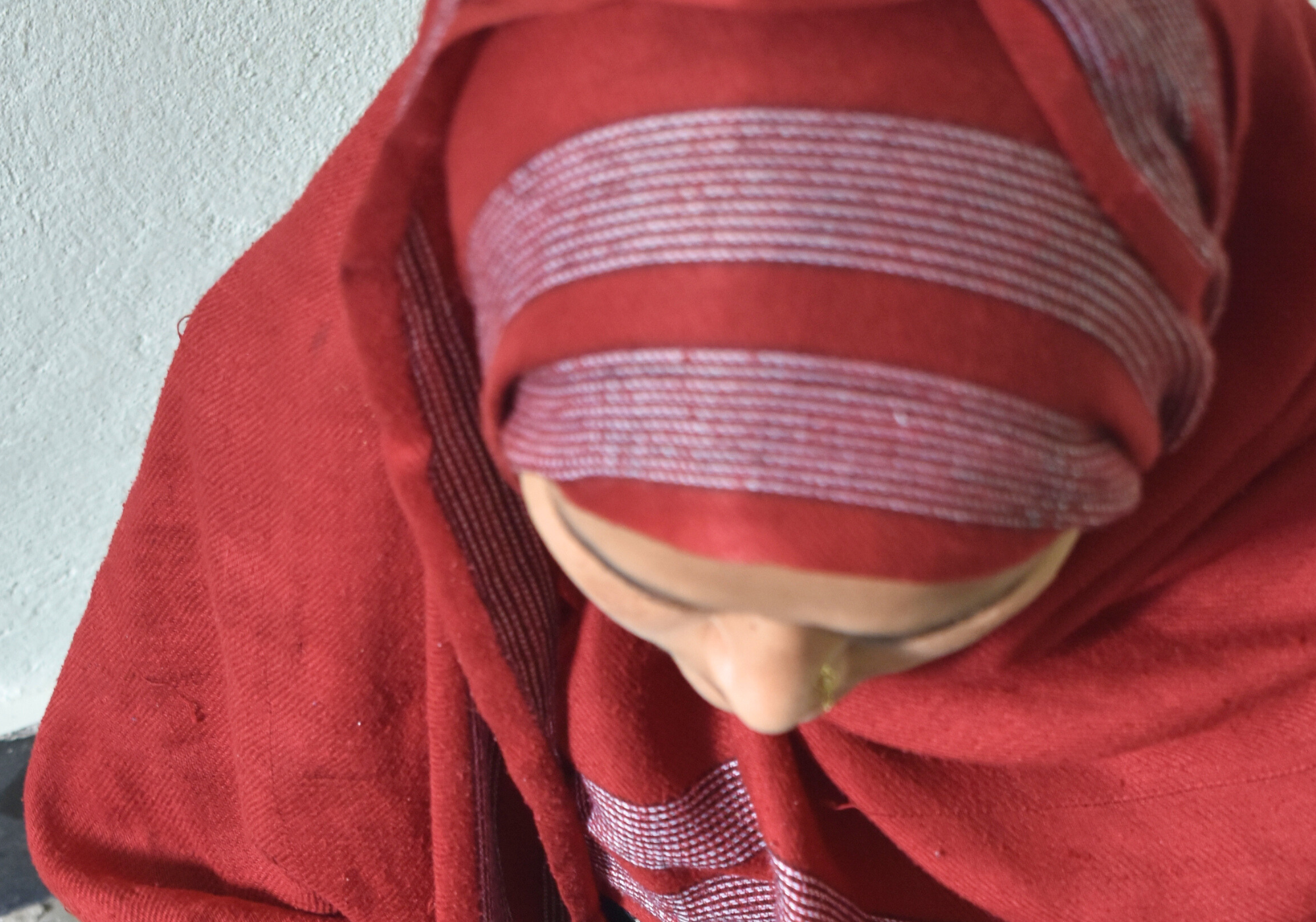 anees begum embroidery work